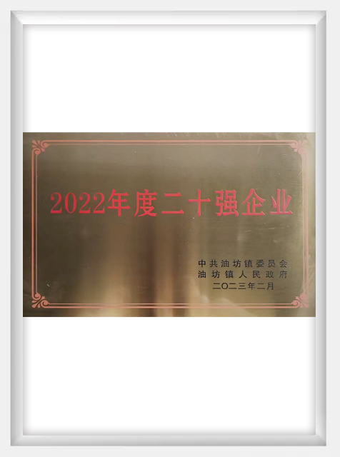 Top 20 companies in 2022
