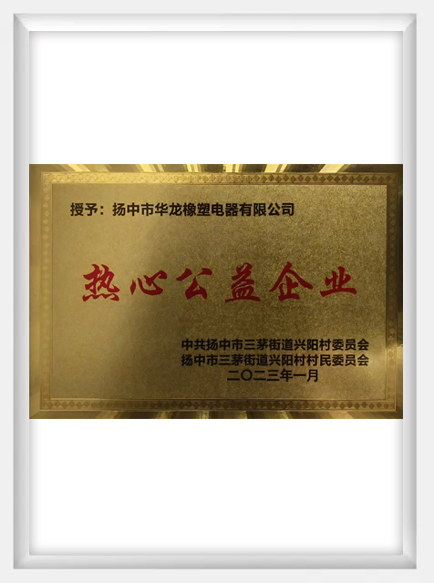 Enthusiastic charity enterprises